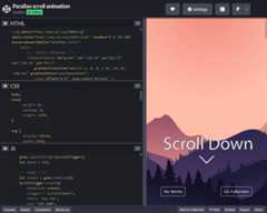 CodePen