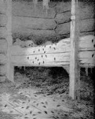 Musstad - Theodor Severin Kittelsen