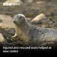 Photo from BBC N.