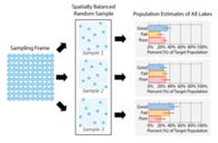 Figure 2: An overview of the survey design process.  Three different spatially balanced random samples produces three different sets of population estimates.