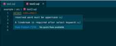 sqlint-on-editor