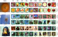 Image retrieval results with classification-based features and semantic embeddings on CIFAR-100