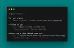 screenshot of gh pr status