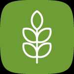 Сельхозтехника в учете агропредприятия: оформление, эксплуатация, списание