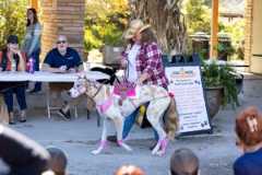 A woman with her dog dressed as a horse