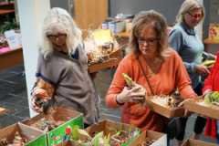 Two shoppers examine amaryllis bulbs in a lobby during the Amaryllis Sale