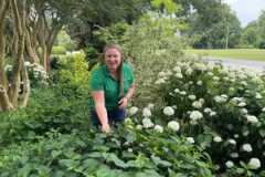 Celeste Scott identifying landscape plants at the University of Tennessee Gardens, Jackson