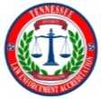 TLEA