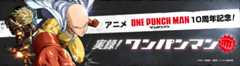 TVアニメ ワンパンマン 10周年記念!!実録！ワンパンマン