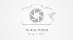 Тогыз-кумалак. Казахстанцы одержали победу на турнире по тогыз кумалак во Франции