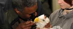 Dr. Jones examining an eagle