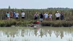 Vet students near a pond in Belize.