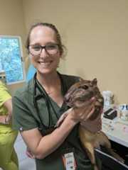 Vet Student holding an animal in Belize.