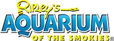 Ripleys Aquarium of The Smokies Logo