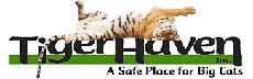 Tiger Haven Logo
