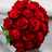 RoseGirlXS's avatar