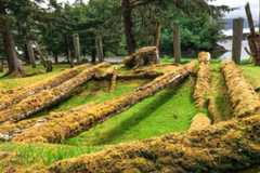 anthony-island-haida