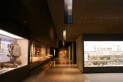  明治大学博物館 