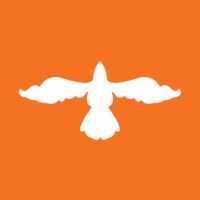 Ephesus Travel & Tours