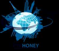 Pychoney Travel and Visa Consultancy