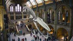 un des musées de Londres à voir lors de votre séjour