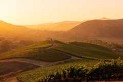 Sunset over the Peake Ranch vineyards in the Santa Ynez Valley