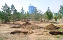 How Investing in Land Restoration Services Benefits You and the Planet