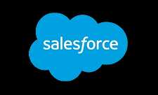 Salesforce Developers on the Postman API Network