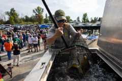 A person wearing a cap lifts a large fish from a tank with a net during an outdoor event, while a crowd of people observes in the background.