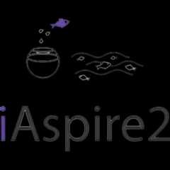 iAspire2 CIC