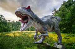 Dinosaur Pictures Wallpaper