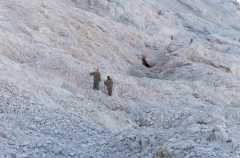 PlateauResidue: the artists whose daily life reflects their fight for the climate