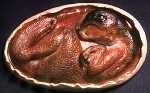 st_embryo_med.jpg (8197 bytes)