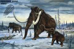 Wooly Mammoth (mammuthus primigenius), drawing by artist Josef Moravec