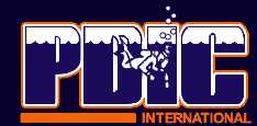 PDIC International
