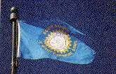 State Flag