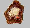 Fairburn Agate: State Gem