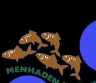 Menhaden Matter