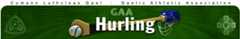 Click on image to go to GAA homepage