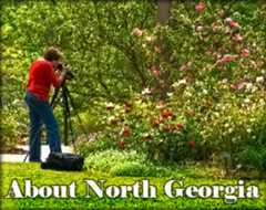 About North Georgia