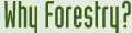 Why Forestry?