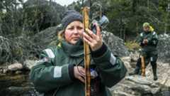 Seal research Joonas Fritze / WWF