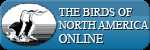 Birds of North America Online