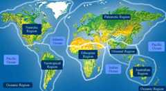 World Map