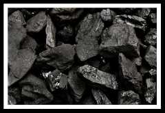Coal