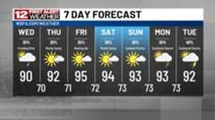 7 Day Forecast