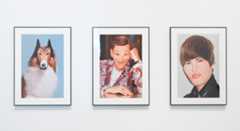 Line up of John Waters artworks including Lassie, a self portrait, and Justin Bieber