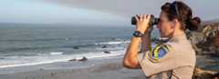 female officer looking out to sea through binoculars