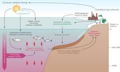 fig. 2.12 after Laffoley und Baxter, 2019
