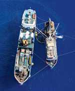 Illegal fishing - © Alex Hafford/AFP ImageForum/Getty Images